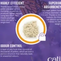 06b9a097c2bc83792a1886b4cf277c850171a3c0-247x296-1