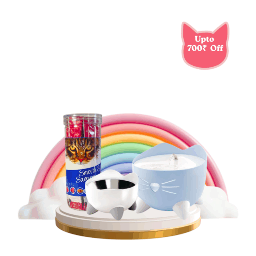 Catit Feeding Essentials Pack – PIXI Fountain, Dish & Smooth & Savoury Jar 25 Pack