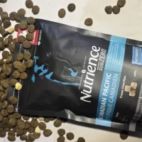 20250826_151224-2048x1153