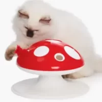 43142_Catit-Senses-Mushroom_Panel-1_EN-NA-768x768.jpg-247x296