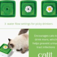 43735W_Mini-Flower-Fountain_product-2-247x296