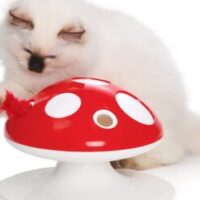 61KoYWpdFQL._AC_SL1500_-247x296