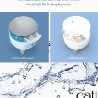 81KevajBP0L._SL1500_-247x296