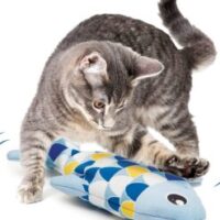 81guEASFckS._AC_SL1500_-247x296