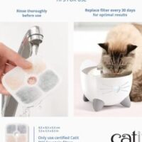 81jxg-XRo6L._SL1500_-247x296