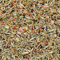 B2791-B2793-Gourmet_Budgie_FoodSquare-2048x2048-1