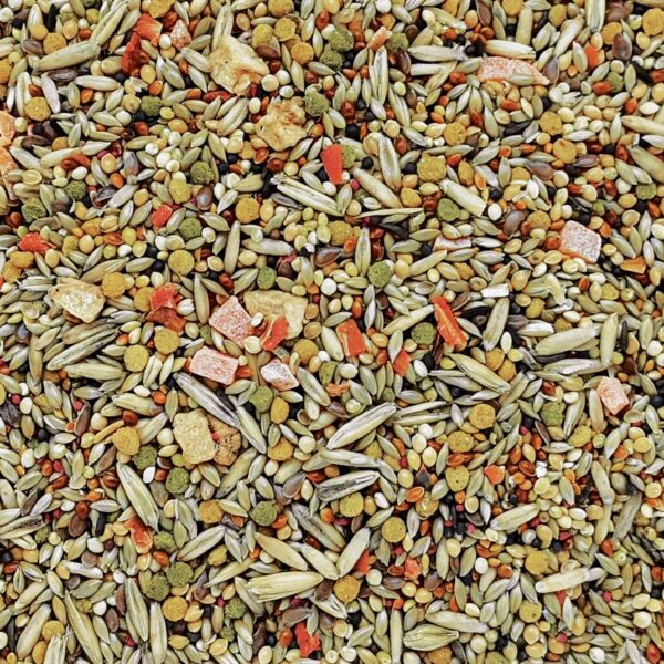 Second image of Gourmet Parakeet Seed Mix 1kg