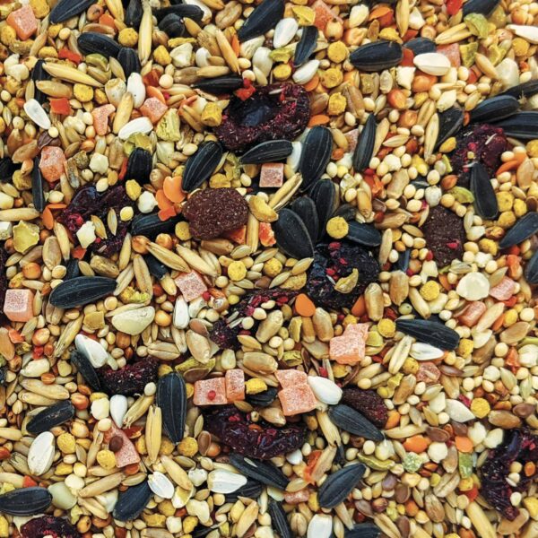 Second image of Gourmet Seed Fruit Veg Mix 1.13kg