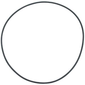 FX Series O-Ring (Filter Lid)