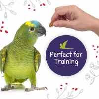 Foragers_SocialMedia_4_Training_Chili_EN-2048x2048-1