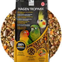 LandingPage-80630_2020