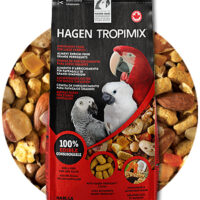 LandingPage-80661_2020