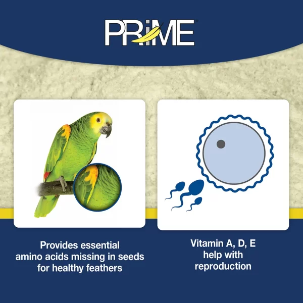 Second image of Prime Vitamin Supplement 30g (1.1 oz)
