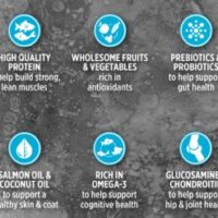 SZ-Dog-Canadian-Pacific-4-247x296 (1)