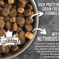 SZ-Dog-Northern-Lakes-5-247x296