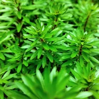 20230811_114124-scaled