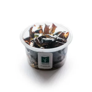 Cryptocoryne wendtii ‘Tropica’ [Tc]