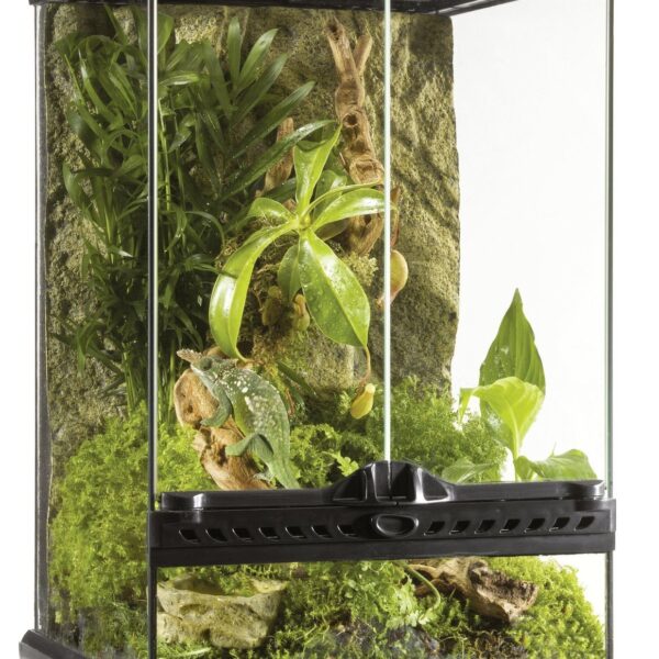 Natural Terrarium Mini Tall 1’Wx1’Dx1.5’H 30*30*45
