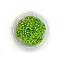 A77AD2C4-A271-43EA-86EB-56CCFBF6D0B2