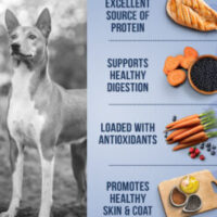 DogFood_Medium_92912_ChickenBlackBean_Callouts_1500px-247x296