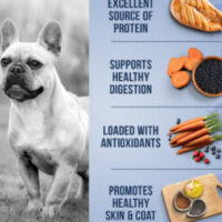 DogFood_Small_92906_ChickenBlackBean_Callouts_1500px-247x296