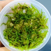 IMG_20240514_1012533