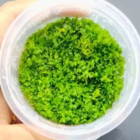 IMG_20240514_1044172-scaled