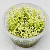 IMG_20250222_1116522-scaled