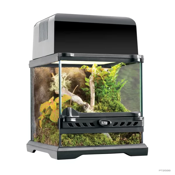 Natural Terrarium Nano Wide 8″WX8″Dx8″H 20*20*20