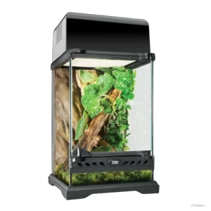 Natural Terrarium Nano Tall 8″WX8″Dx12″H 20 × 20 × 30 cm