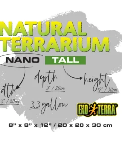 Second image of Natural Terrarium Nano Tall 8″WX8″Dx12″H 20 × 20 × 30 cm
