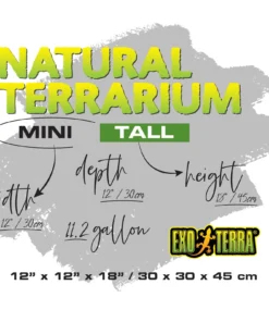 Second image of Natural Terrarium Mini Tall 1’Wx1’Dx1.5’H 30*30*45