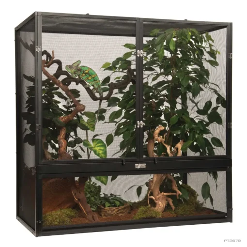 Natural Terrarium