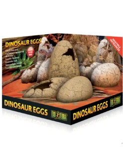 Second image of Dinosaur Eggs