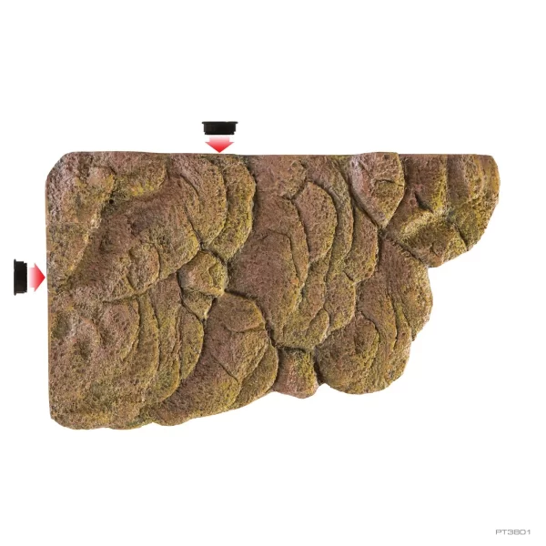 Second image of Turtle Bank Medium