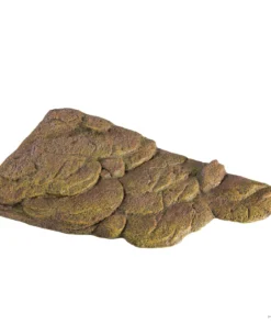 Second image of Turtle Bank Large