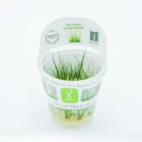 WhatsApp-Image-2023-10-19-at-12.33.03