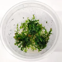 WhatsApp-Image-2024-01-23-at-18.21.20_73d6bf47 (3)