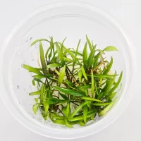 WhatsApp-Image-2024-01-23-at-18.41.25_a7bb52f9