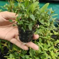 WhatsApp-Image-2024-06-14-at-12.52.03-PM-scaled