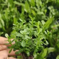 WhatsApp-Image-2024-06-14-at-12.57.29-PM-scaled