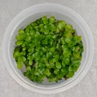 WhatsApp-Image-2024-12-02-at-23.26.44