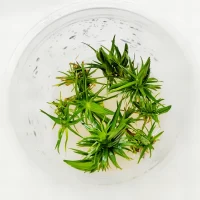 WhatsApp-Image-2024-12-24-at-14.18.56-scaled