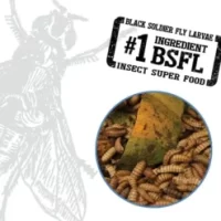 imgi_10_A6593_image2_US-1-247x296