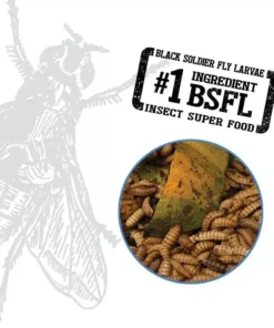 Second image of Bug Bites Turtle Sticks