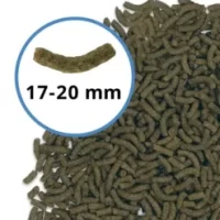 imgi_9_A6587_image1_US-1-247x296