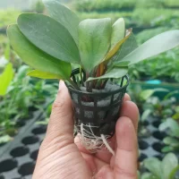 IMG-20230420-WA0010-scaled