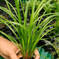 IMG_20240513_095016_403