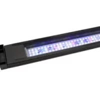 14521_product-247x296