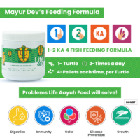 AdultTurtle100G_2_-4_4e4608be-5f73-4120-b177-fd548ba286ab